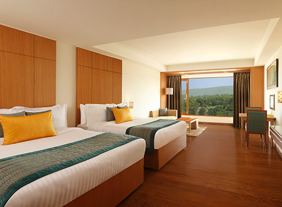 Valley View Room