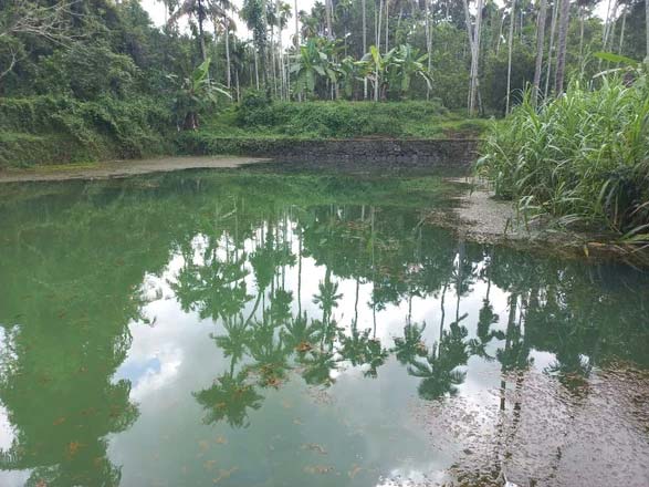 Chandausi