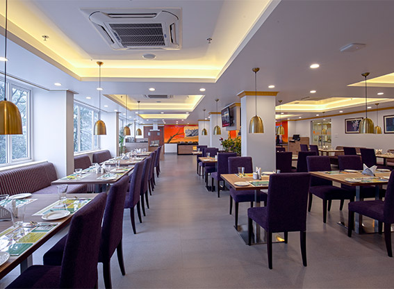 restaurant near banjara hills